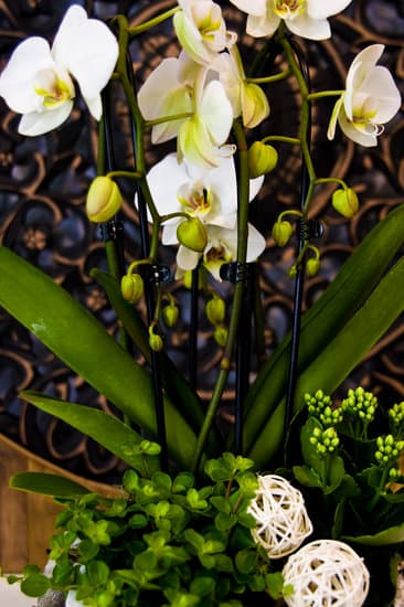 Kirkland home decor products, owned by Costco, offer quality and affordability for your space