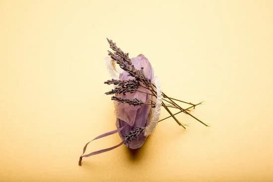 Image of octopus decorating its den with shells and plants - DO OCTOPUS DECORATE THEIR HOMES