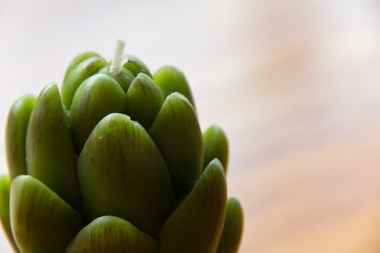 Do We Decorate Likev Our Childhood Home 1 Remembering our childhood home decor influences our design choices today