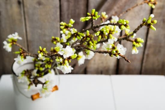 How to Decor Your Home 1 Tips for creating a stylish and inviting living space