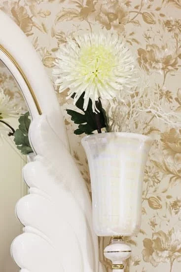 Tips for creating a beautiful aquatic display in your living space