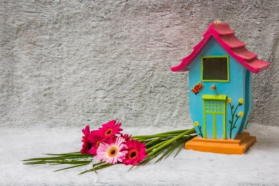 Expert Tips for Stylish Design