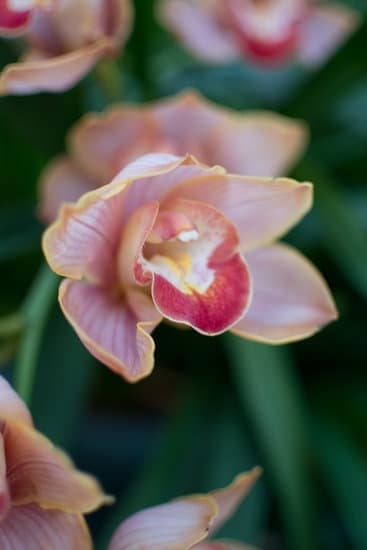 Step-by-step guide on how to decorate a teenage home with style and personality