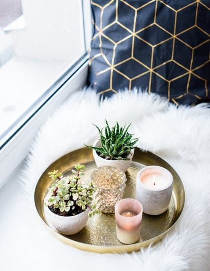 Stylish & Functional Dual-purpose Space