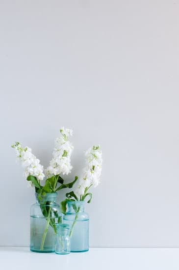 showcase your tasty treats in a cozy and inviting space