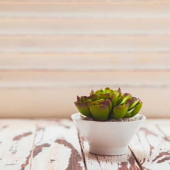 organization, chic styles, and cozy vibes for ultimate pampering