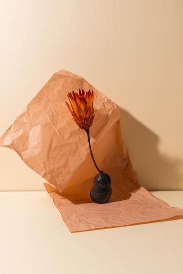 Tips, tricks, and inspiration