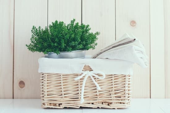 Step-by-step guide on how to decorate a butterfly using household items