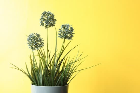 Inspirations and tips for decorating