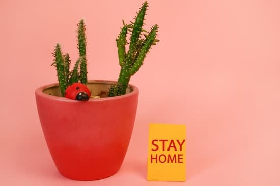 How to Decorate Adorable Home 1 How to decorate an adorable home with cozy and stylish decor