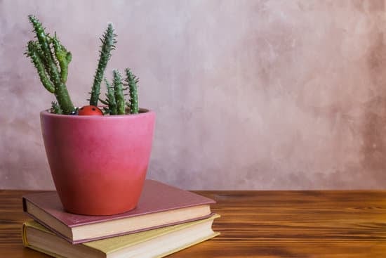 How to Decorate for a Party at Home 1 DIY balloon arch and festive garland