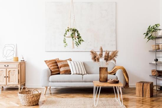 Budget-Friendly Tips and Advice