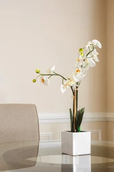 Creative ideas for DIY decorations to make your party memorable