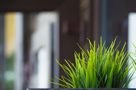 Step-by-step DIY guide for personalized designs