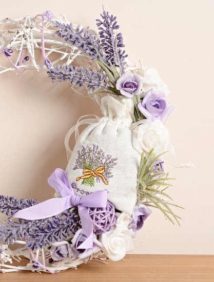 Step-by-step guide on how to decorate home by plants, including placement and care tips