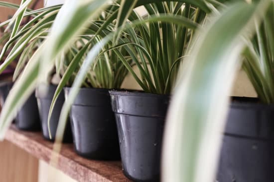 Creating festive outdoor decor for a grey home during the holiday season