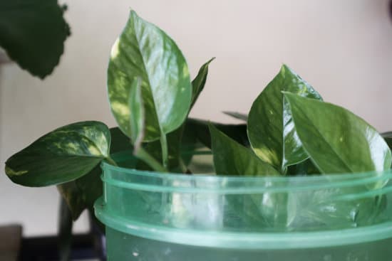 A weekend DIY project