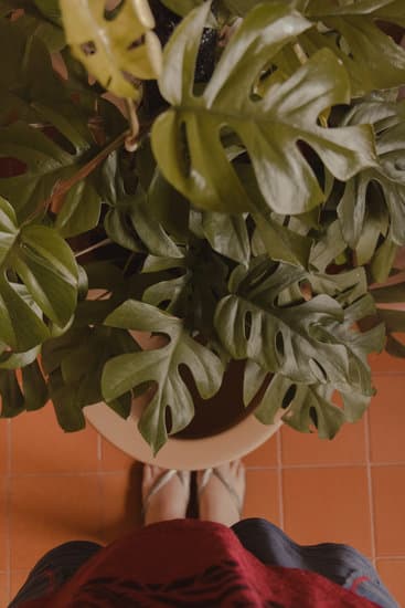 DIY decorations and party planning tips