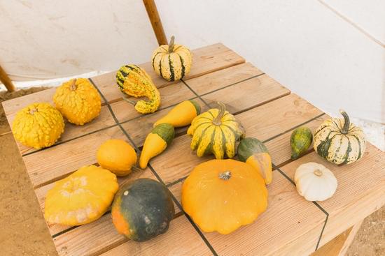 Cozy pumpkin accents, warm earth tones, and rustic decor