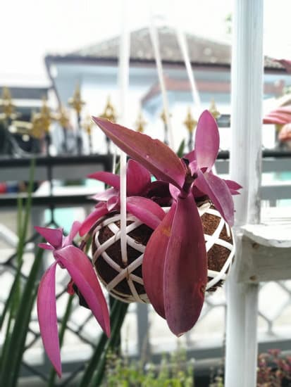 How to Decorate a Home Seasonally 1 Creative Ideas for Year-Round Design