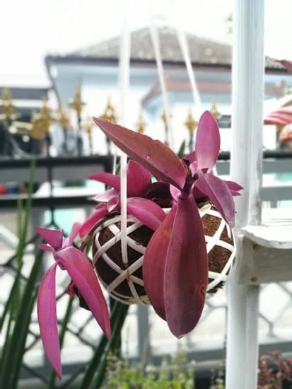 Creative Ideas for Year-Round Design