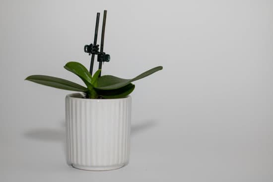 Top Tips for Savvy Shoppers