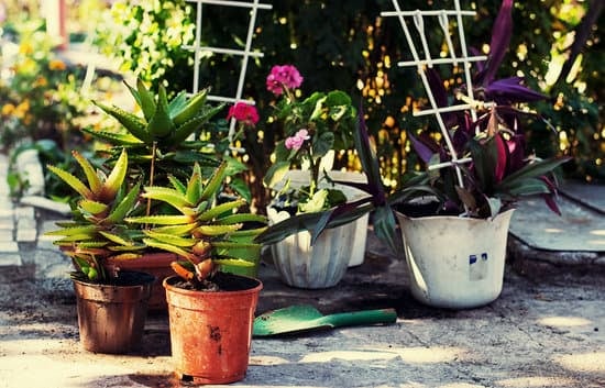 creative and sustainable home decorating tips for a festive touch
