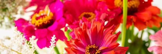 How much money should you save to decorate your home Budgeting tips and ideas for your home decor projects