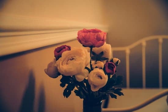 Tips for Blending Classic and Contemporary Styles