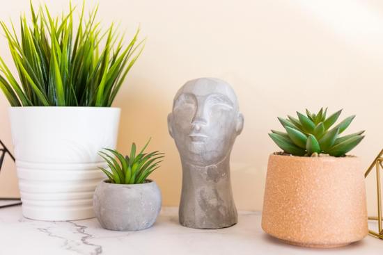 Step-by-step guide on how to decorate dog treats at home with easy recipe