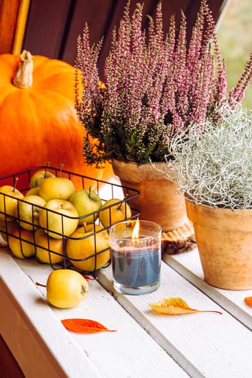 easy, festive, and creative ideas