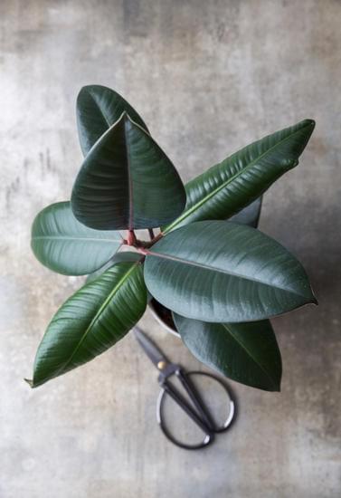 Step-by-Step Guide on How to Buy Cheap Home Decor