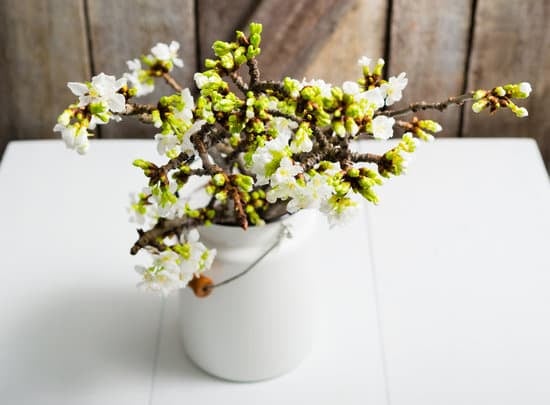Creative ideas for decorating your home bulletin board with style and functionality