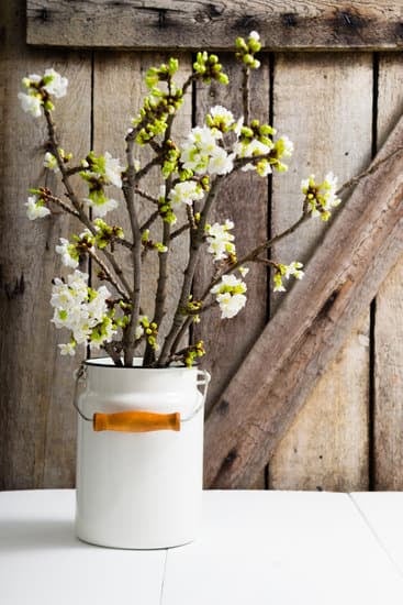 How to dry fruit at home for decoration
