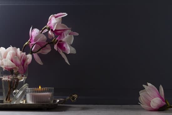 How to decorate your home for summer with vibrant colors and beach-inspired accents