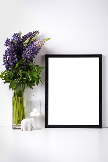 Showcase creativity, attention to detail, and strong communication skills