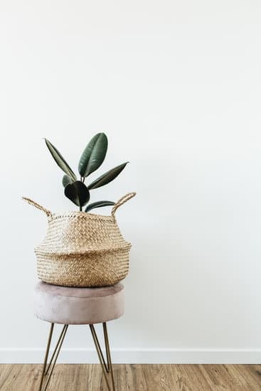 Step-by-step guide on how to decorate mask at home with unique designs