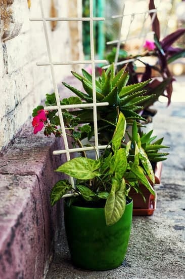 How to Decorate on a Dime