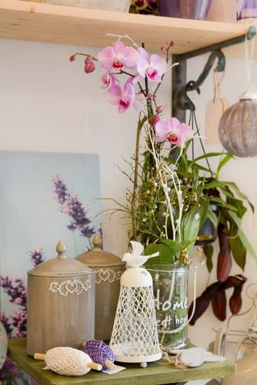 Easy tips for enhancing curb appeal