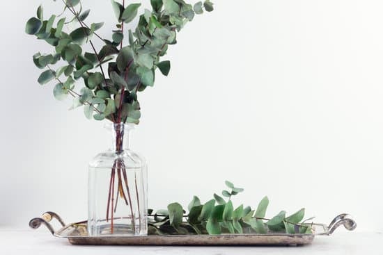 Valentine's Day home decor ideas featuring how to decorate your home for Valentine's Day