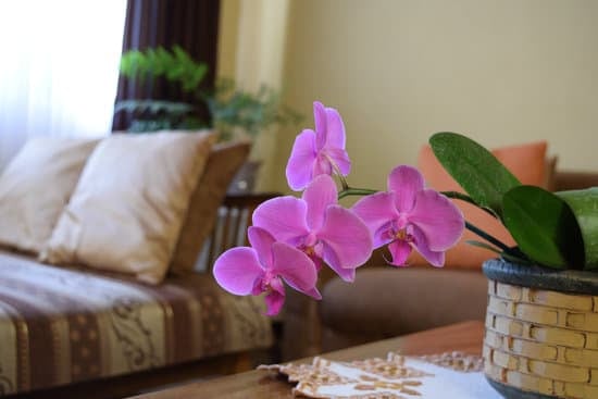 Discover your unique Home Decorating Style with our easy steps guide