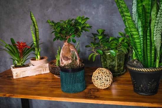 Capture stunning home decor photos with expert tips on achieving a professional look effortlessly