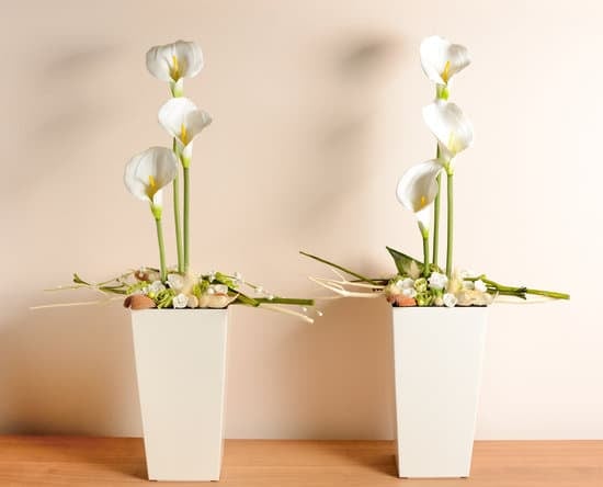 traditional diya arrangements for a cozy ambiance