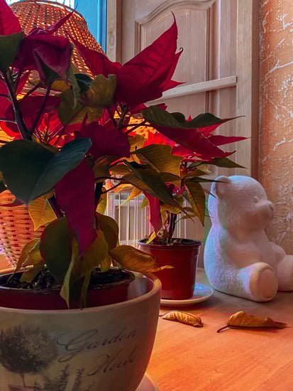 Steps for creating a cozy home ambiance through decoration techniques