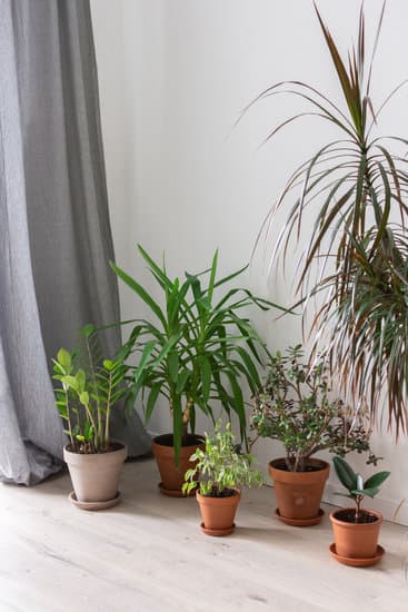 Transform your space with our guide on How to Make a House a Home Decor