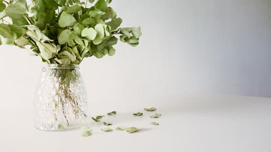 Creative DIY ideas for budget-friendly home transformations