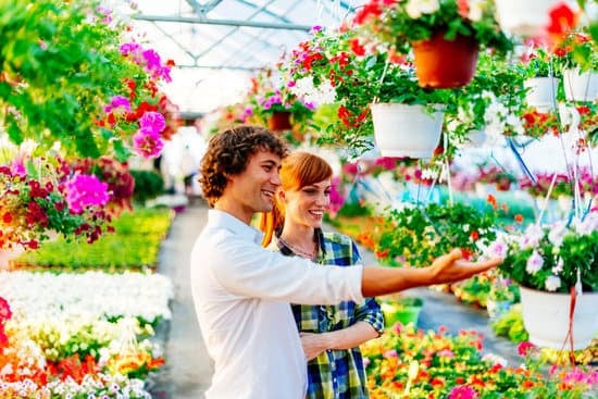 Tips for Decorating Your Home with Style and Local Flair