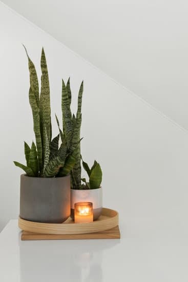 Step-by-step guide on how to decorating your home beautifully and affordably
