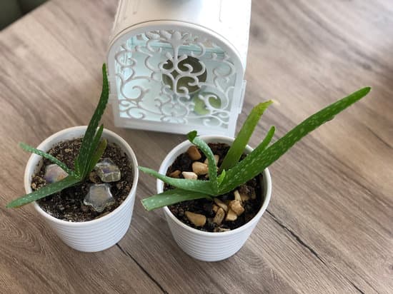 Simple tips on how to decorate small home garden effectively and creatively